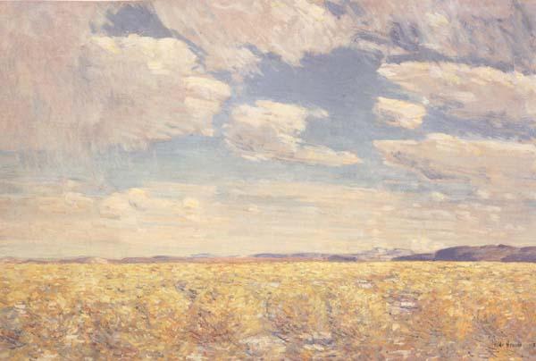 Childe Hassam Afternoon Sky,Harney Desert (mk43) China oil painting art